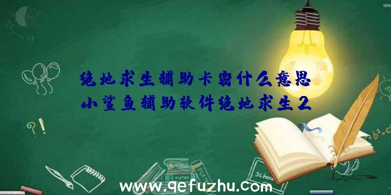 「绝地求生辅助卡密什么意思」|小鲨鱼辅助软件绝地求生2